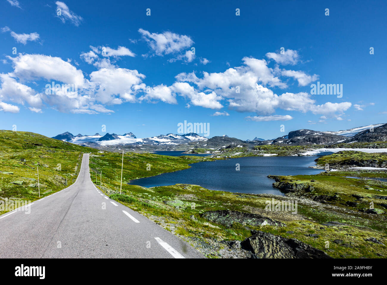 Strada n. 55 Sul Sognefjell in Jotunheimen / Norvegia Foto Stock