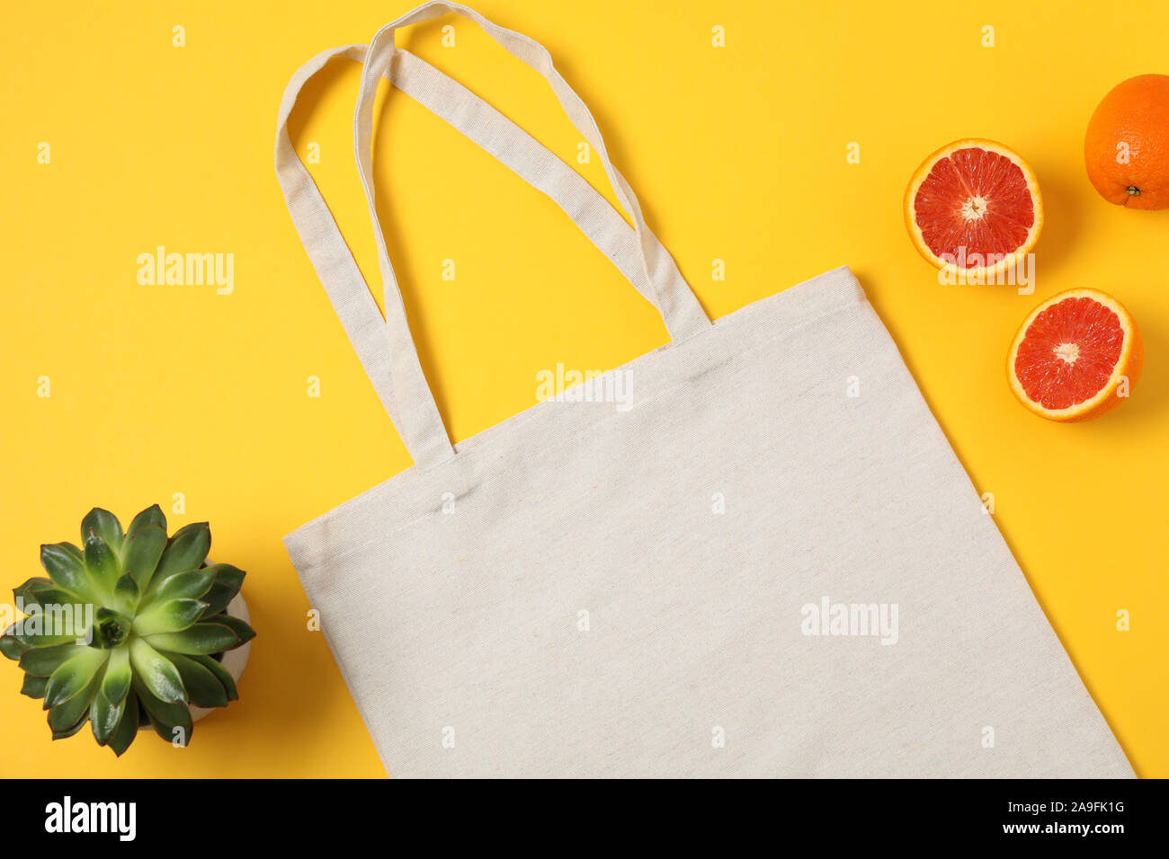 Eco borsa, di piante succulente e arancione sul colore di sfondo, spazio copia Foto Stock