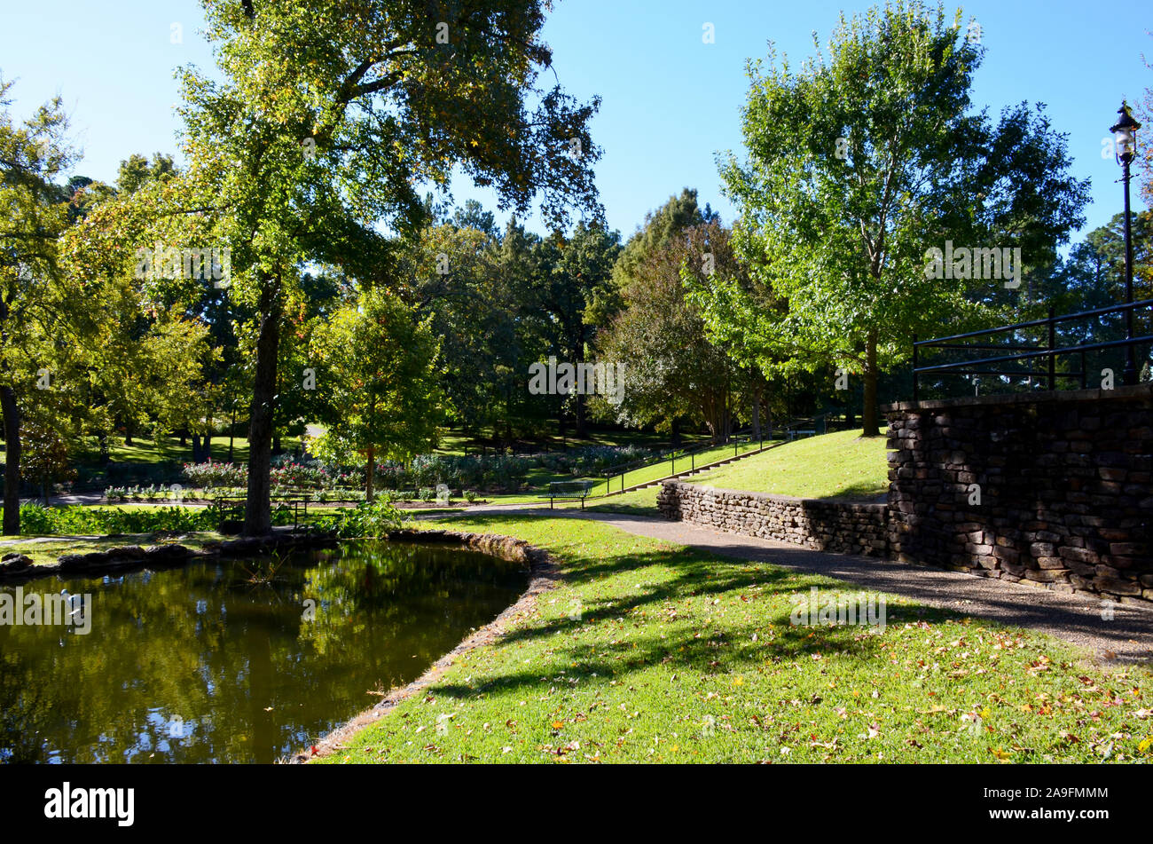 Tyler Rose Garden di Tyler, Texas. Foto Stock