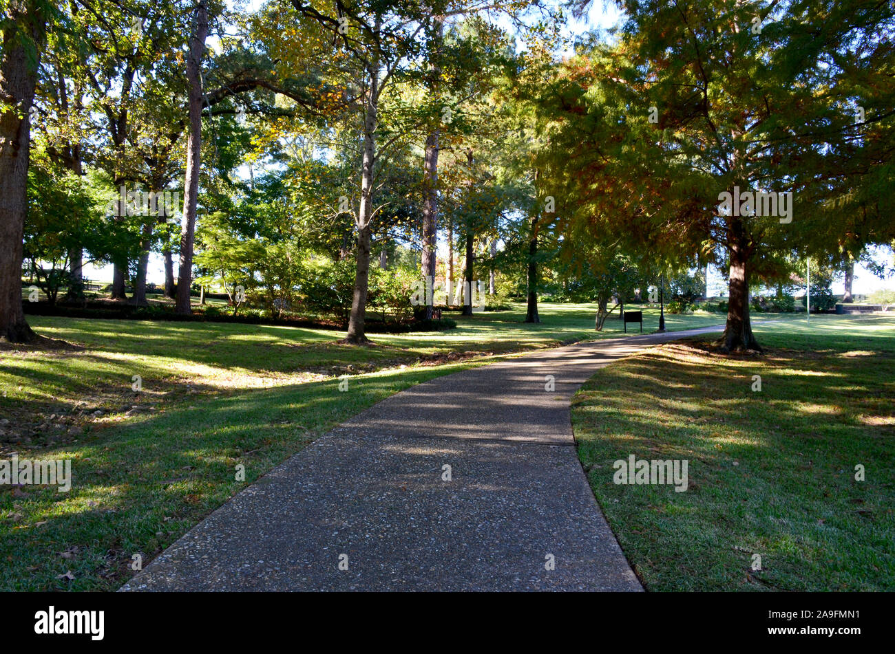 Tyler Rose Garden di Tyler, Texas. Foto Stock