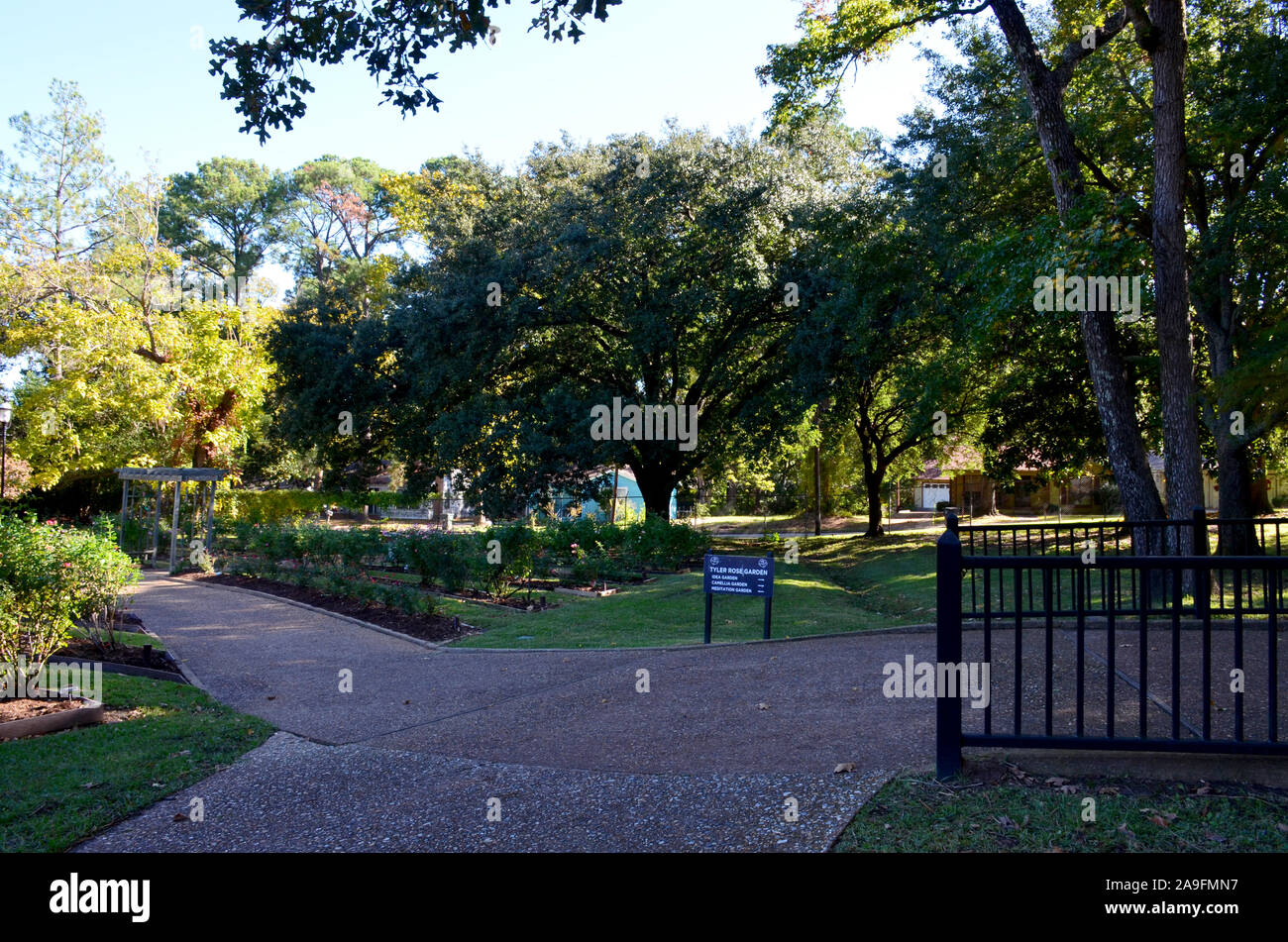 Tyler Rose Garden di Tyler, Texas. Foto Stock
