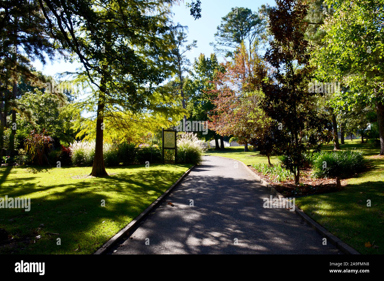 Tyler Rose Garden di Tyler, Texas. Foto Stock