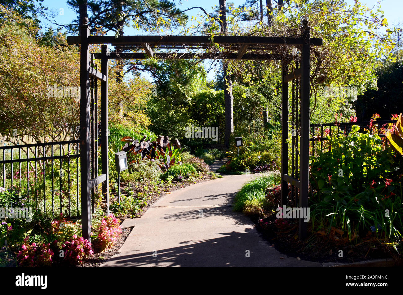 Tyler Rose Garden di Tyler, Texas. Foto Stock