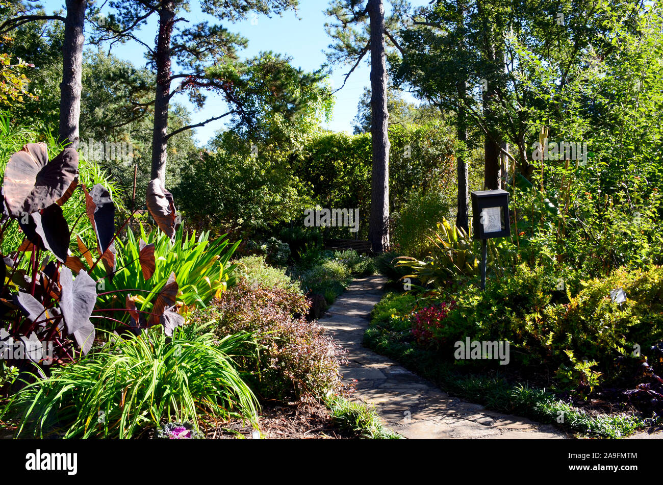 Tyler Rose Garden di Tyler, Texas. Foto Stock