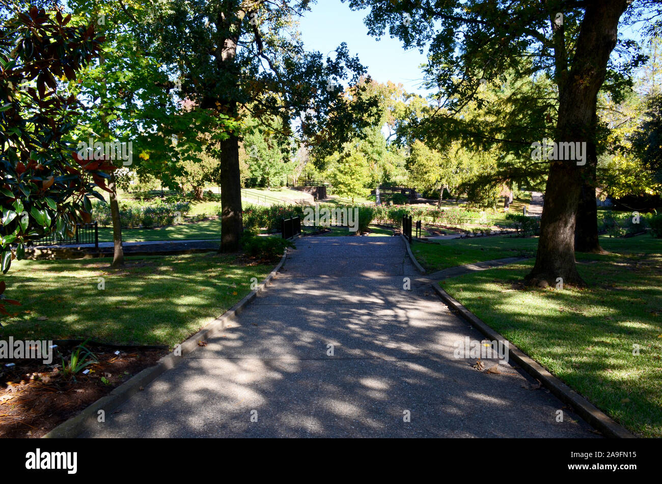 Tyler Rose Garden di Tyler, Texas. Foto Stock