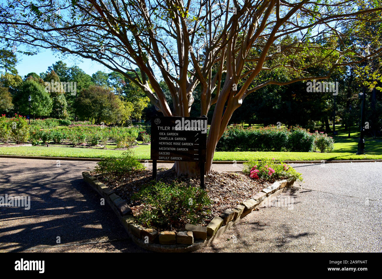 Tyler Rose Garden di Tyler, Texas. Foto Stock