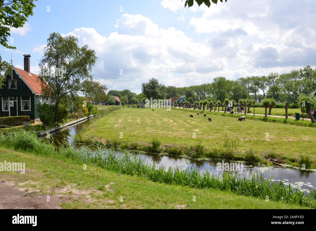 Paesaggio olandese con edifici tradizionali, Zaanse Schans Foto Stock