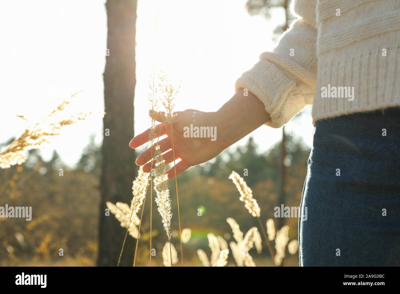 Donna e alte piante essiccate in foresta, spazio per il testo Foto Stock