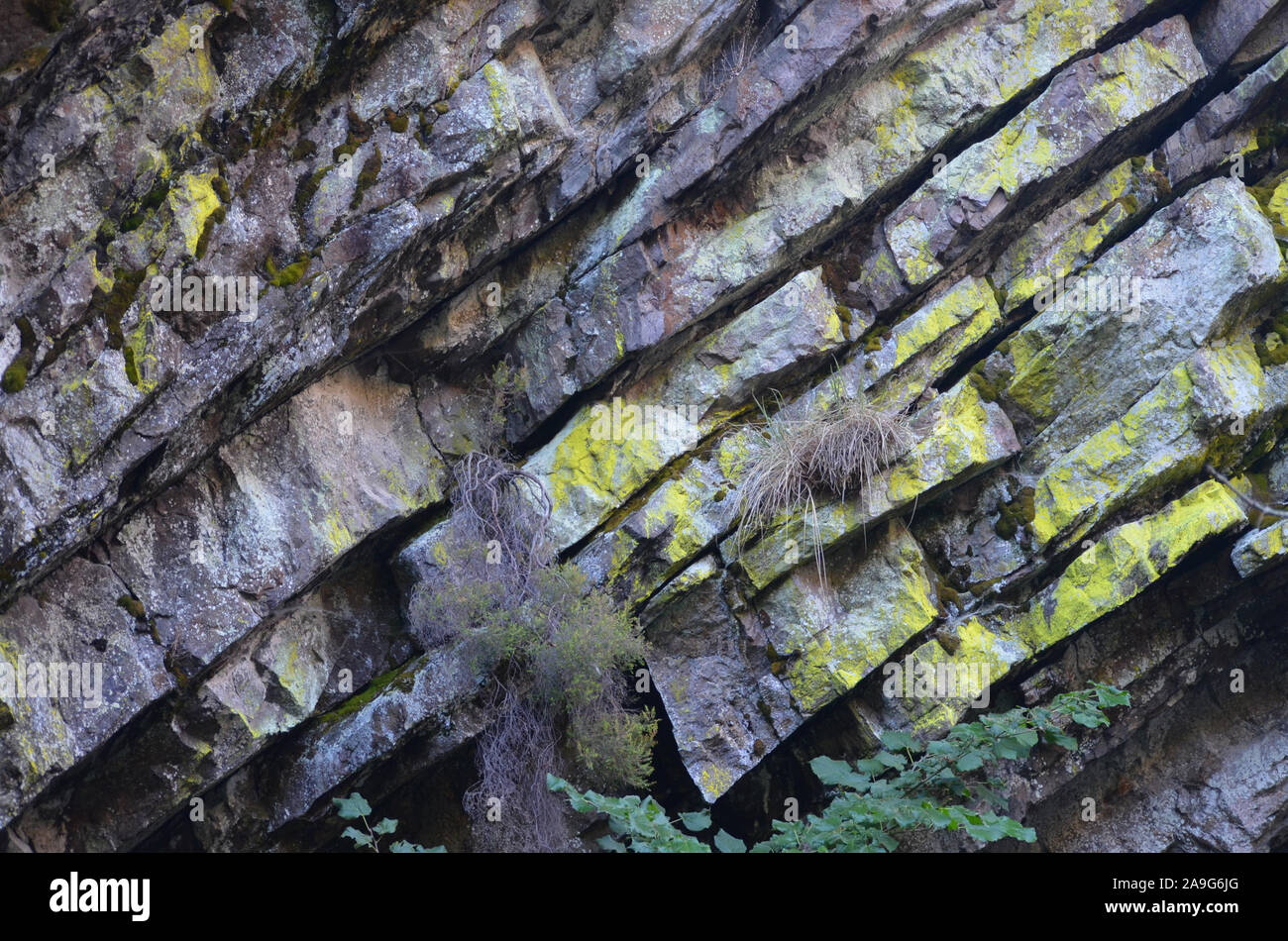 Rock pliages nella Sierra de la Demanda gamma, La Rioja, Spagna settentrionale Foto Stock
