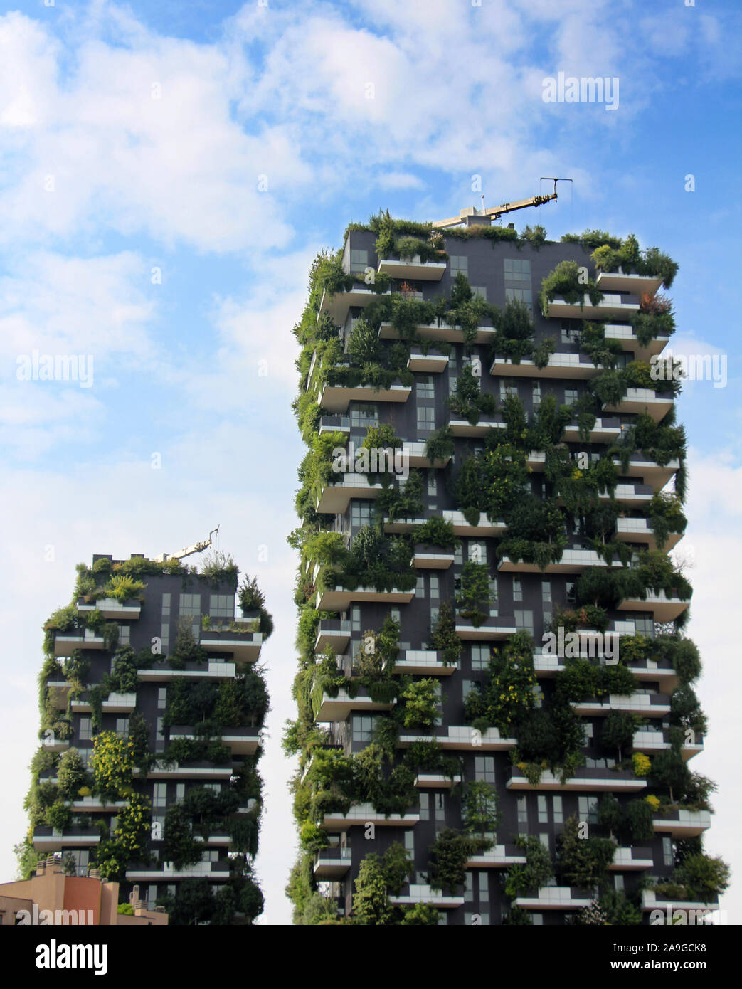 Milano, Italia - 27 Giugno 2017: edifici residenziali Bosco Verticale. Bosco verticale torri residenziali nel quartiere degli affari di Milano, Italia Foto Stock