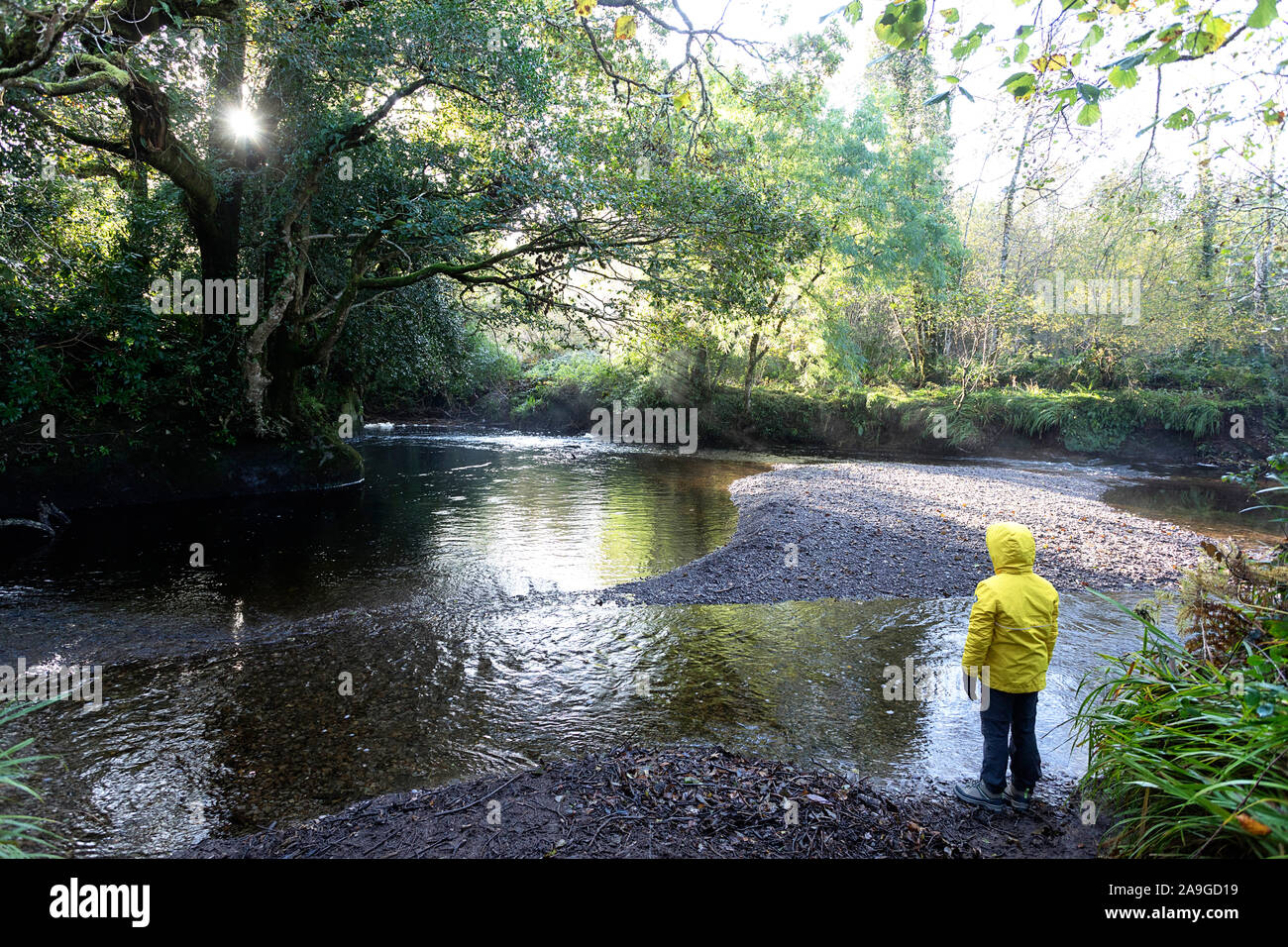 Giovane ragazzo in piedi dal piccolo fiume che scorre sopra le rocce su un moody mattina a Boschi Glenarriff Riserva, Irlanda, parte dell'anello di Kerry Foto Stock