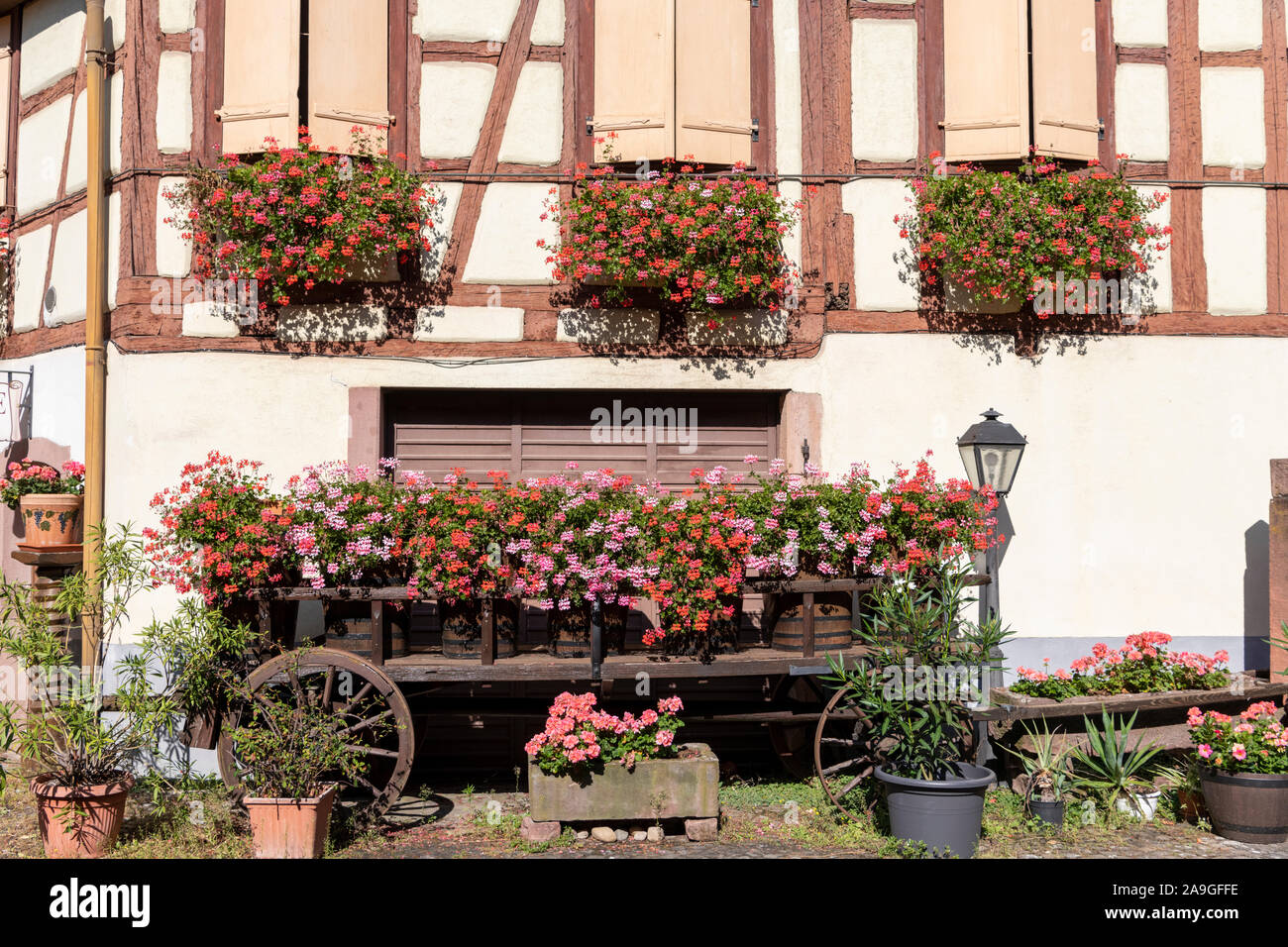 Piuttosto finestre con persiane con finestre su vecchi edifici in Eguisheim, Alsace Francia Europa Foto Stock