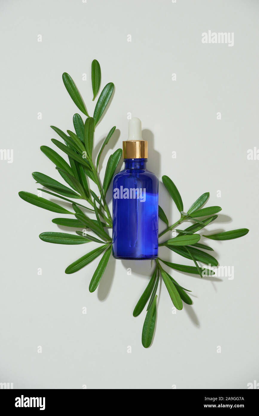 Confezione per cosmetici contenitori con foglie verdi, sale,. a base di erbe naturali di bellezza organica concezione del prodotto Foto Stock