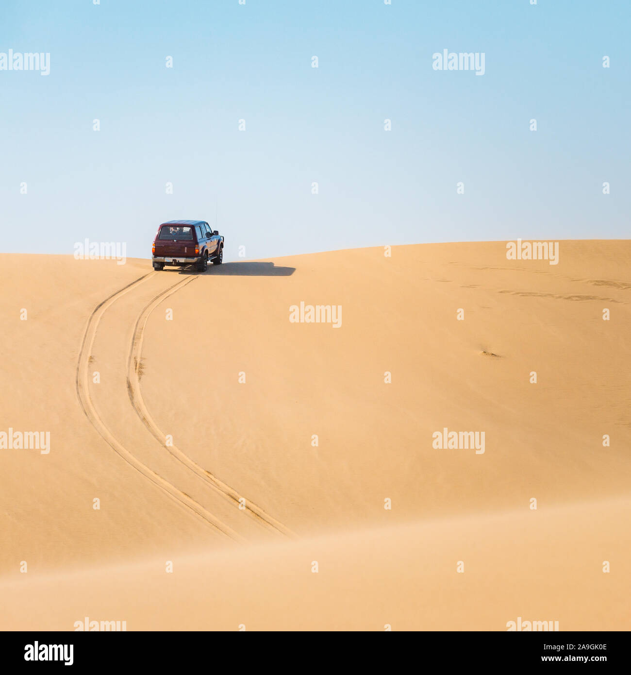 Off road avventura nel deserto, auto e tracce sulla sabbia. Foto Stock