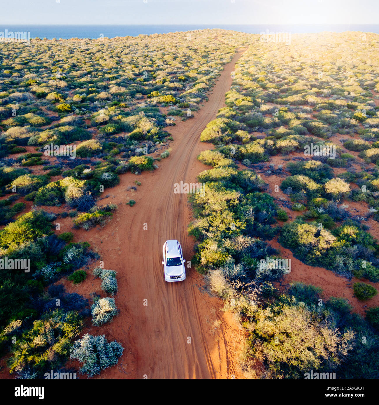 Off road avventura nel deserto, auto e tracce sulla sabbia nell'Outback australiano. Foto Stock