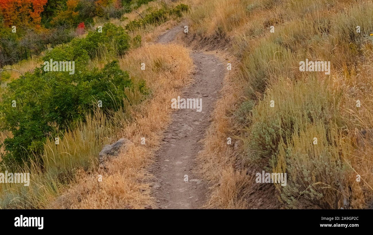 Panorama sporco Sentiero escursionistico attraverso le colline in Utah Foto Stock