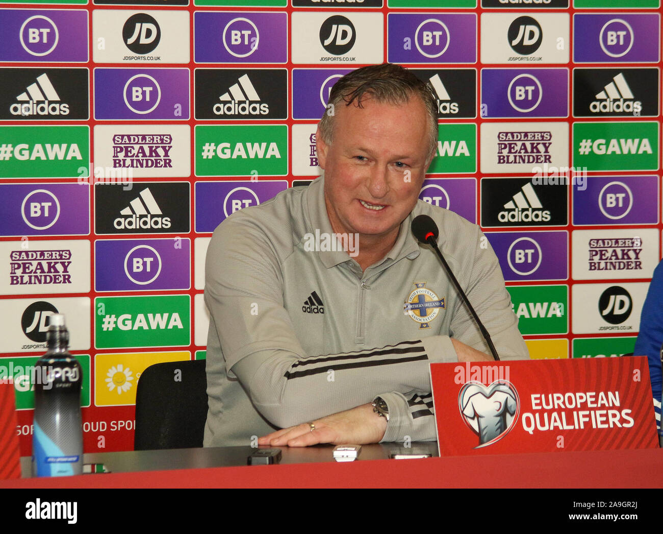 Windsor Park di Belfast, settentrionale, Irlanda. 15 Nov 2019. Irlanda del Nord manager Michael O'Neill a oggi la conferenza stampa a Belfast. Irlanda del Nord gioca nei Paesi Bassi a Windsor Park domani sera in un momento cruciale di UEFA EURO 2020 partita di qualificazione. Irlanda del Nord manager Michael O'Neill. Credito: David Hunter/Alamy Live News Foto Stock