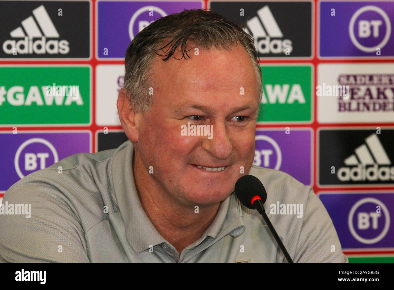 Windsor Park di Belfast, settentrionale, Irlanda. 15 Nov 2019. Irlanda del Nord manager Michael O'Neill a oggi la conferenza stampa a Belfast. Irlanda del Nord gioca nei Paesi Bassi a Windsor Park domani sera in un momento cruciale di UEFA EURO 2020 partita di qualificazione. Irlanda del Nord manager Michael O'Neill. Credito: David Hunter/Alamy Live News Foto Stock