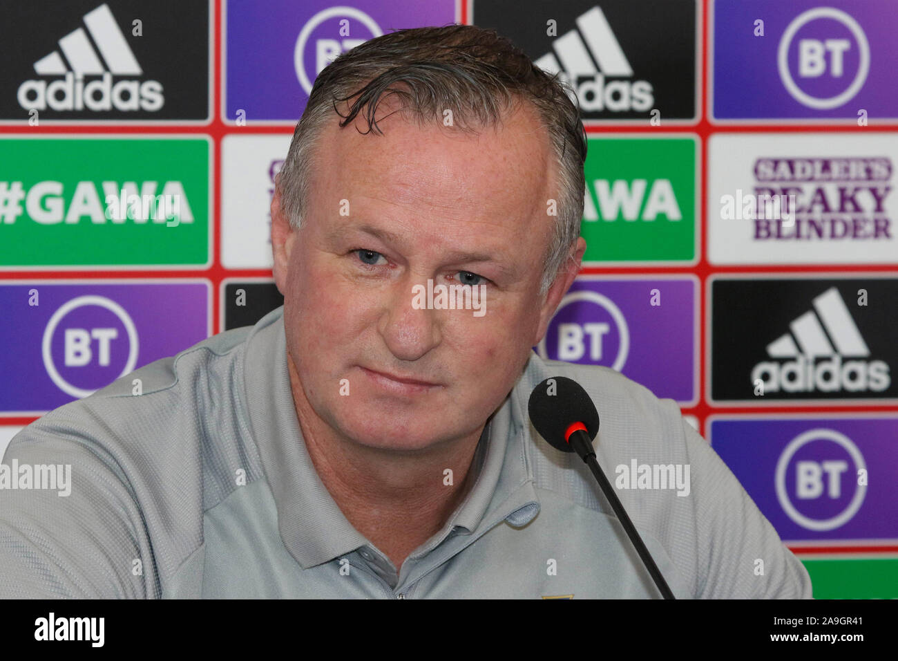 Windsor Park di Belfast, settentrionale, Irlanda. 15 Nov 2019. Irlanda del Nord manager Michael O'Neill a oggi la conferenza stampa a Belfast. Irlanda del Nord gioca nei Paesi Bassi a Windsor Park domani sera in un momento cruciale di UEFA EURO 2020 partita di qualificazione. Irlanda del Nord manager Michael O'Neill. Credito: David Hunter/Alamy Live News Foto Stock