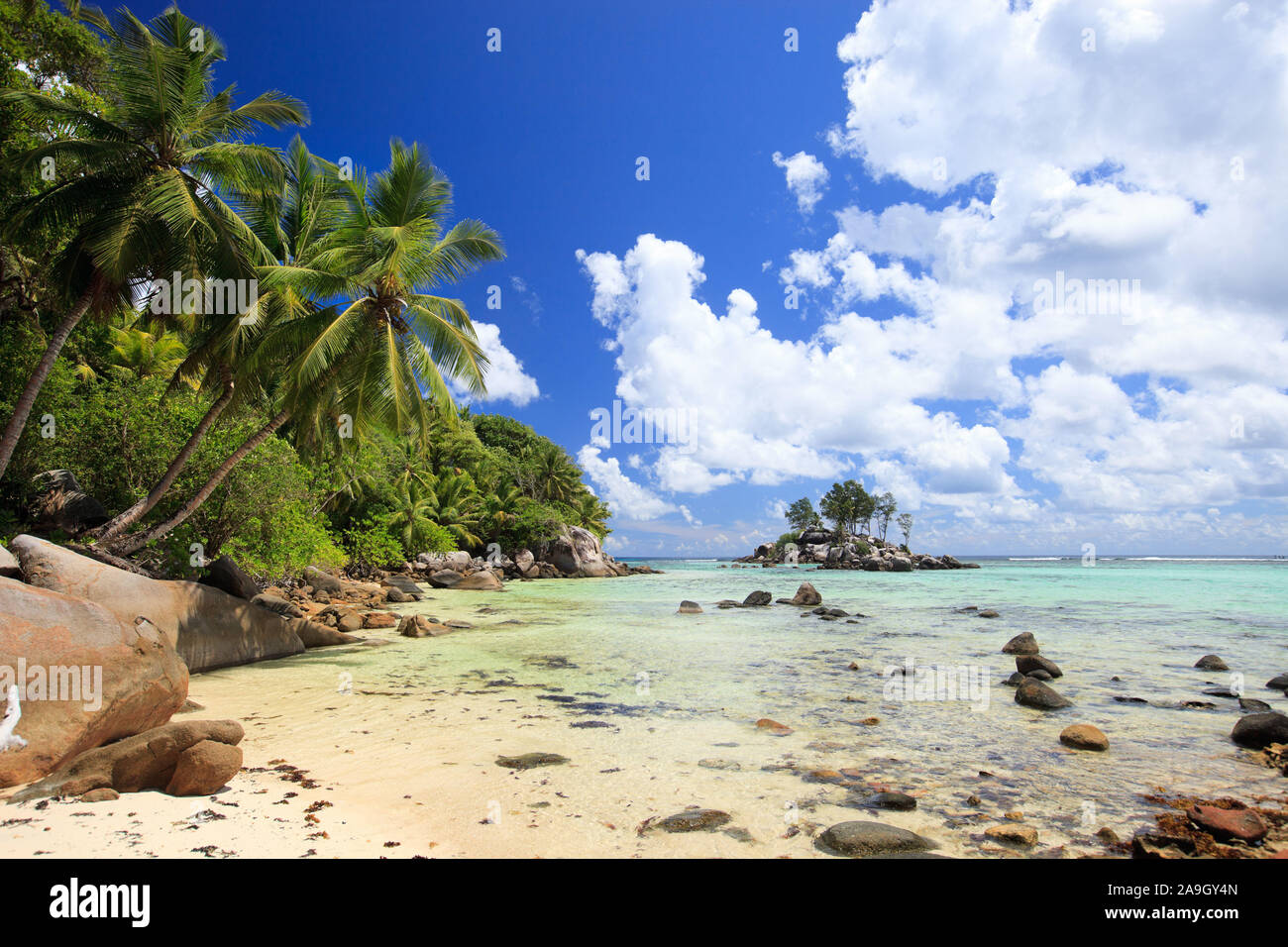 Felsen und Offenburg, La Digue, Seychellen, Indischer Ozean Foto Stock