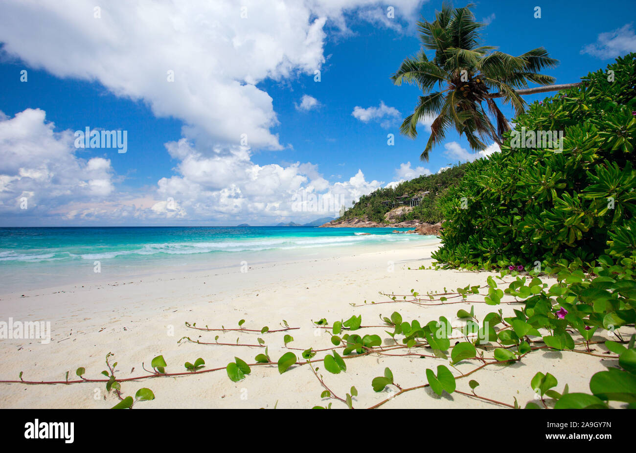 Seychellen, Afrika, Strand auf La Digue Foto Stock