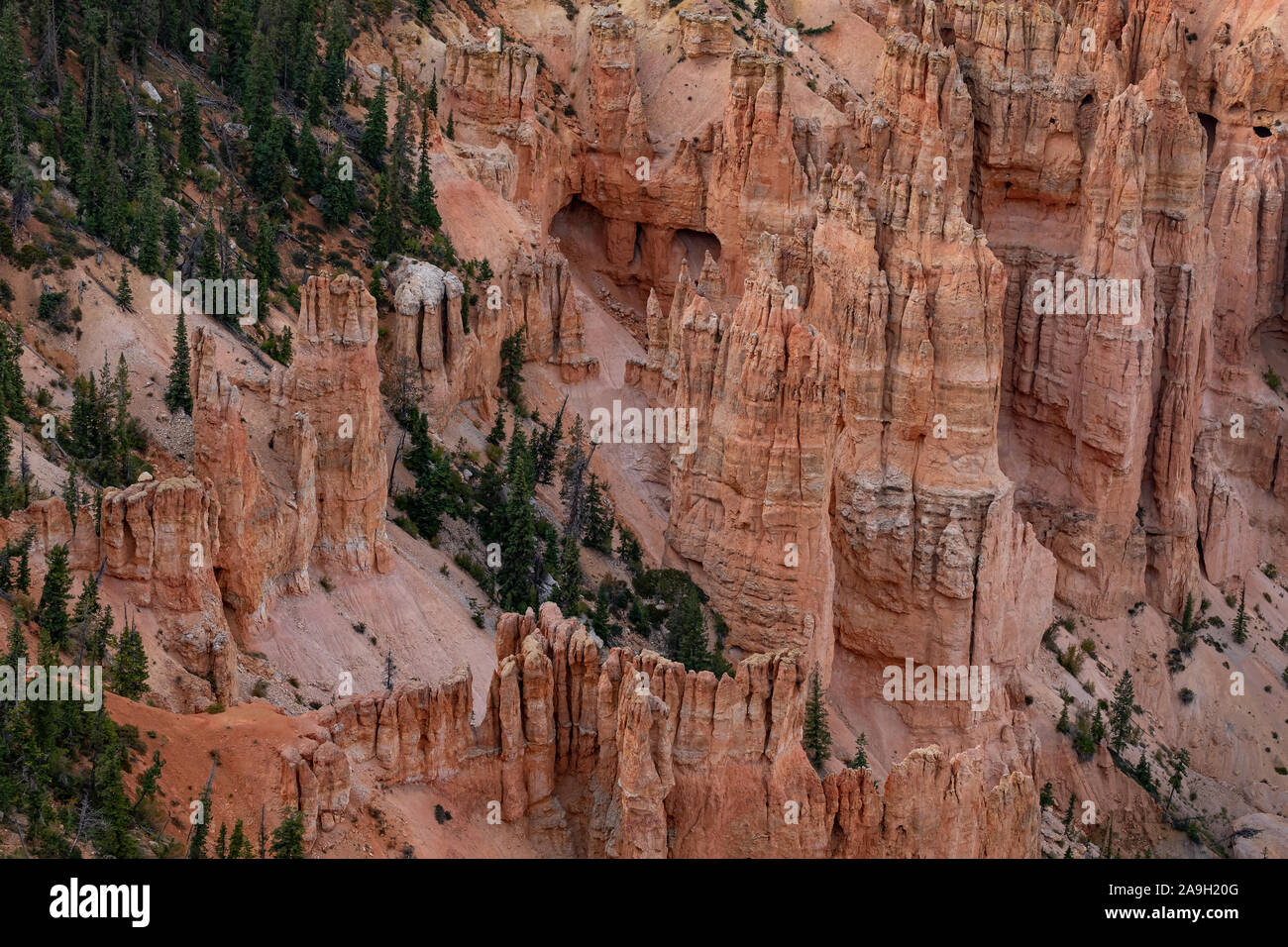 Vista panoramica della formazione di rocce rosse e del cielo nube a Bryce- Canyon- Nationalpark, Utah USA Foto Stock