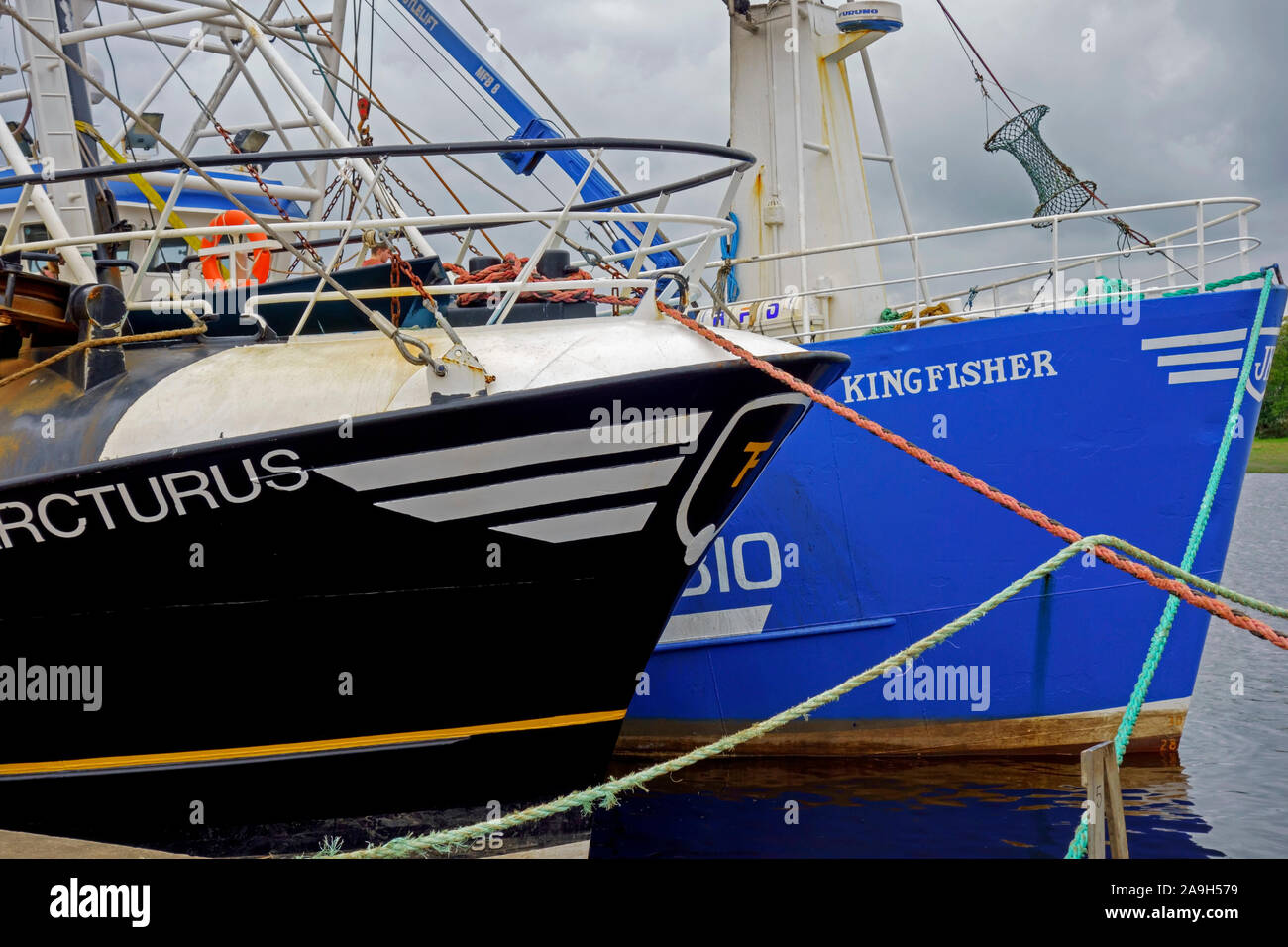 Smerlo draghe presso il porto a Kirkcudbright, Dumfries and Galloway, Scozia. Foto Stock