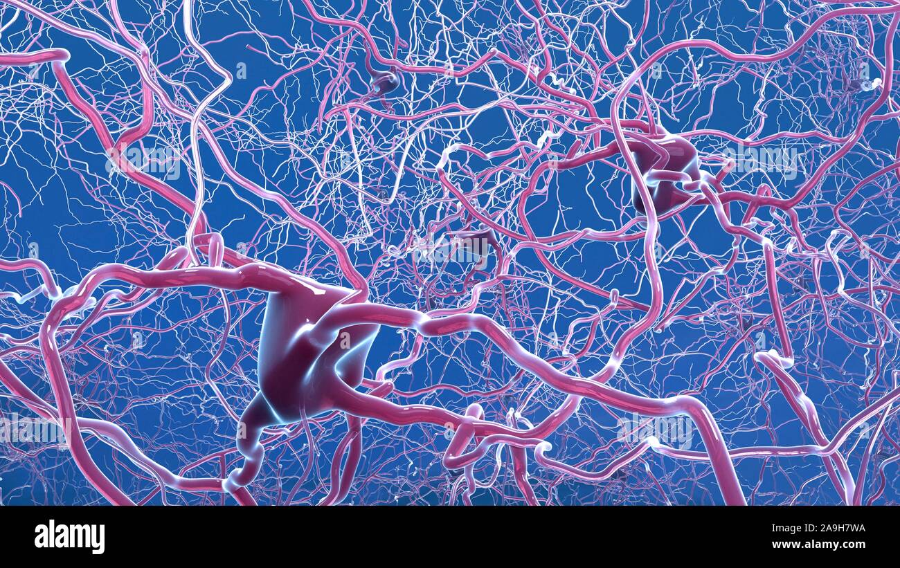 Le cellule nervose, illustrazione Foto Stock