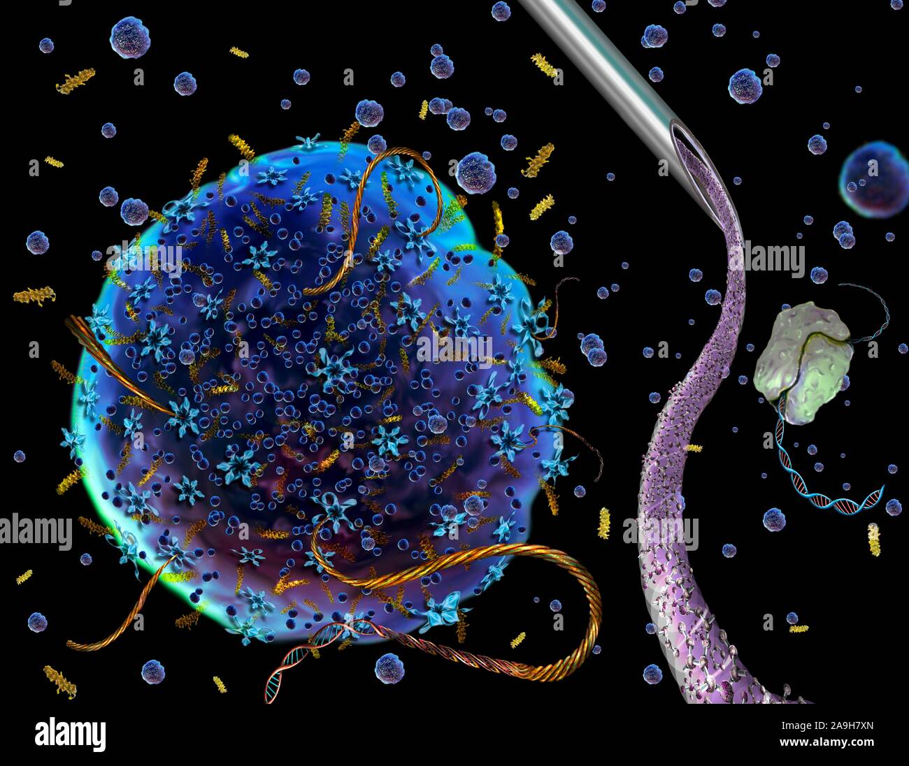 L ingegneria genetica, illustrazione Foto Stock