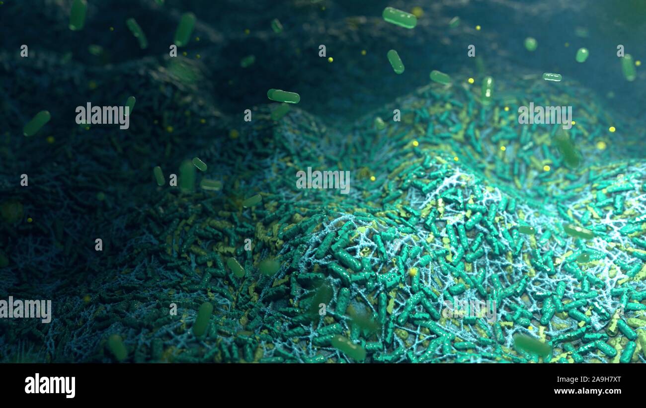 Formazione di biofilm, illustrazione Foto Stock