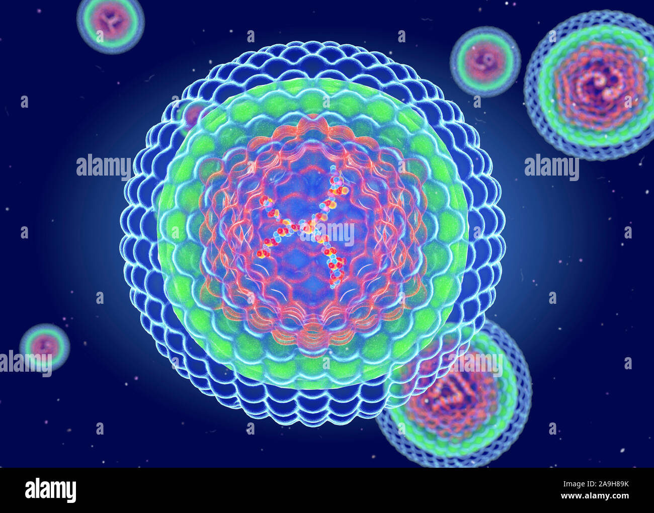 Il virus di epatite B struttura, illustrazione Foto Stock