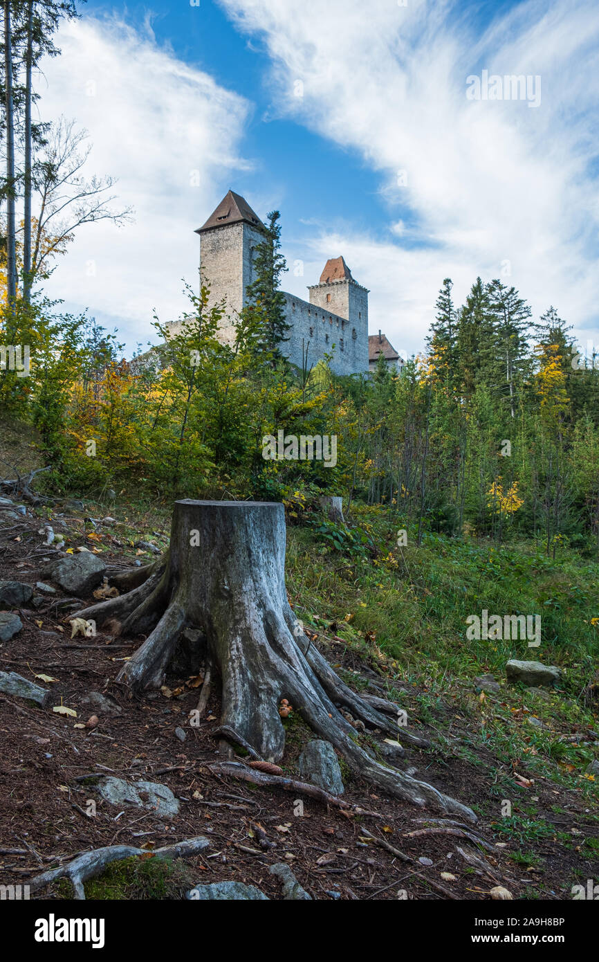 Kasperk Castle - punto di vista con tronco di albero Foto Stock