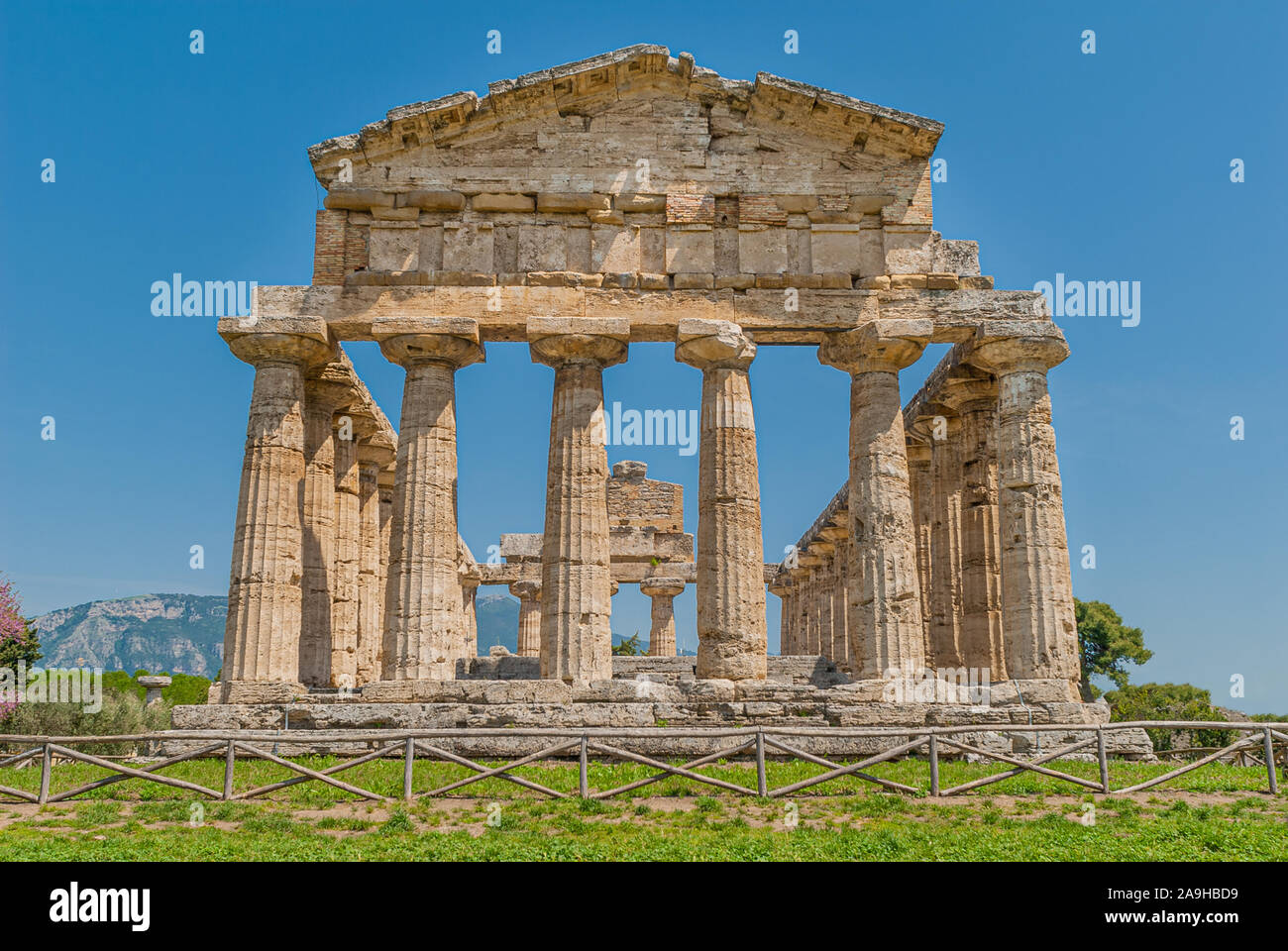 Tempio di Atena, dea greca della sapienza, arti e guerra, presi nella zona archeologica di Paestum Foto Stock