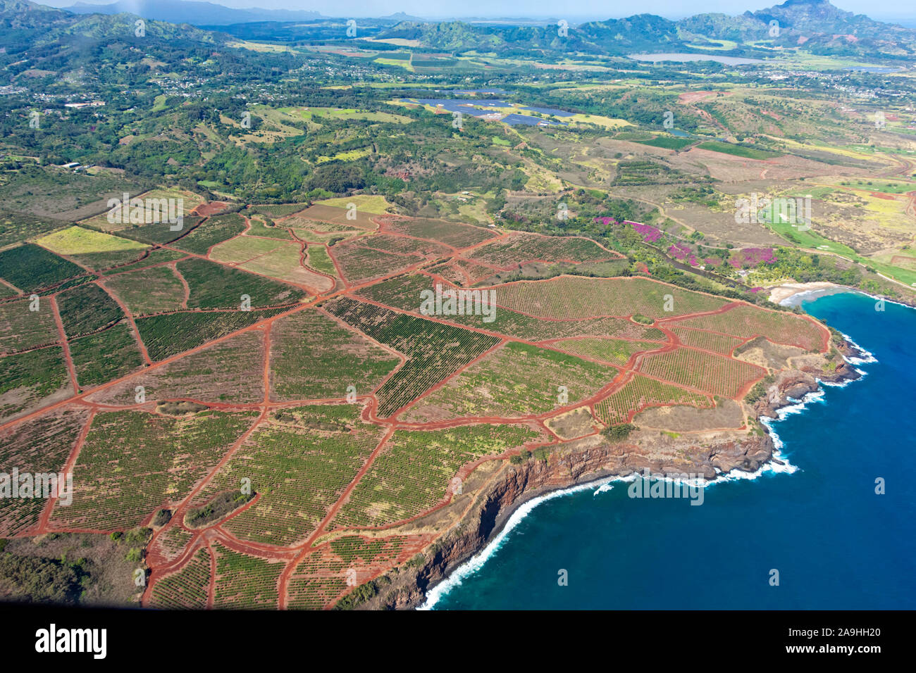 Vista aerea della costa meridionale di Kauai con piantagioni di caffè vicino a Poipu Kauai Hawaii USA Foto Stock