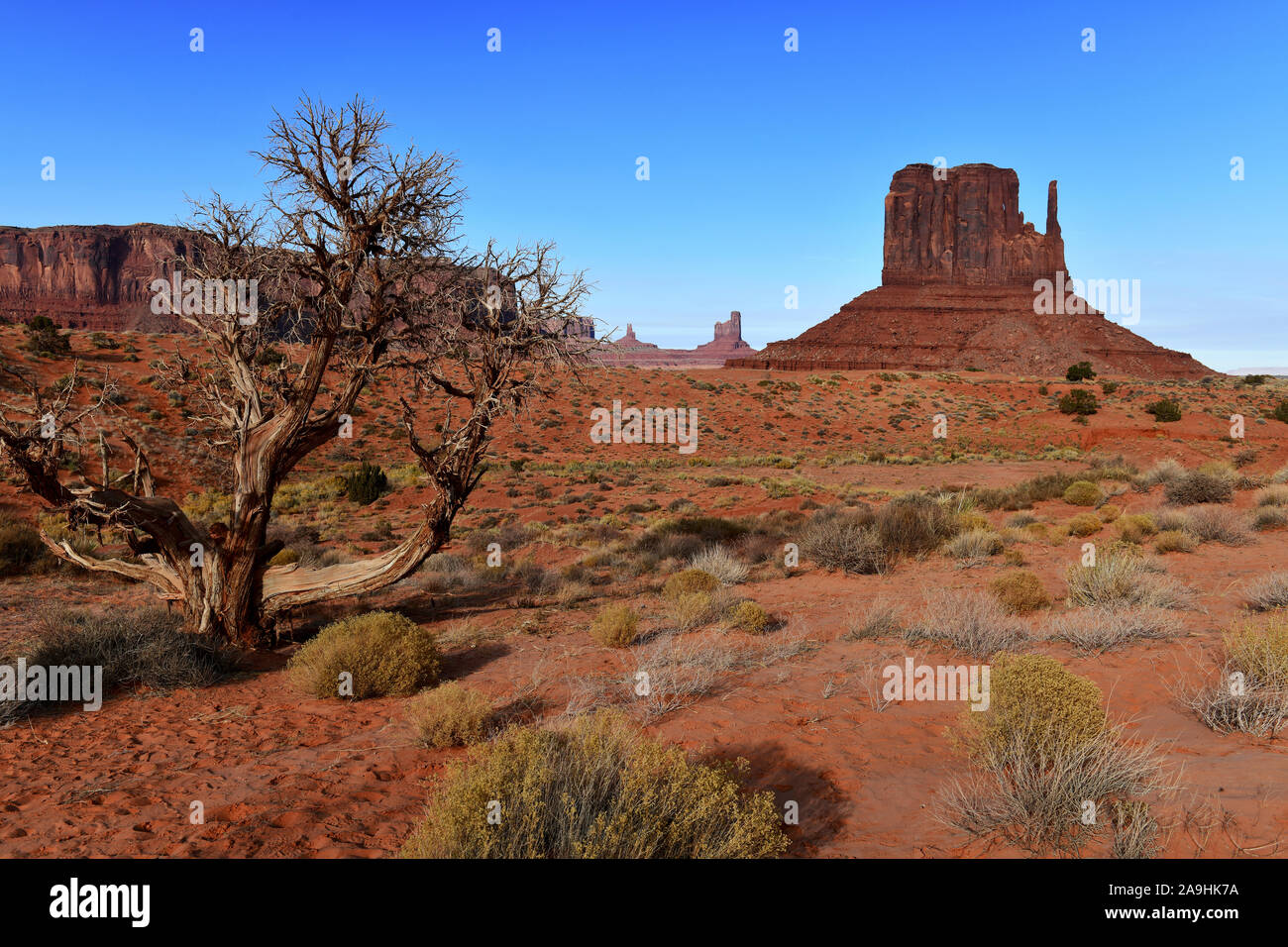 Il paesaggio del deserto della Monument Valley Navajo Tribal Park nel sud-ovest USA in Arizona e Utah, America Foto Stock