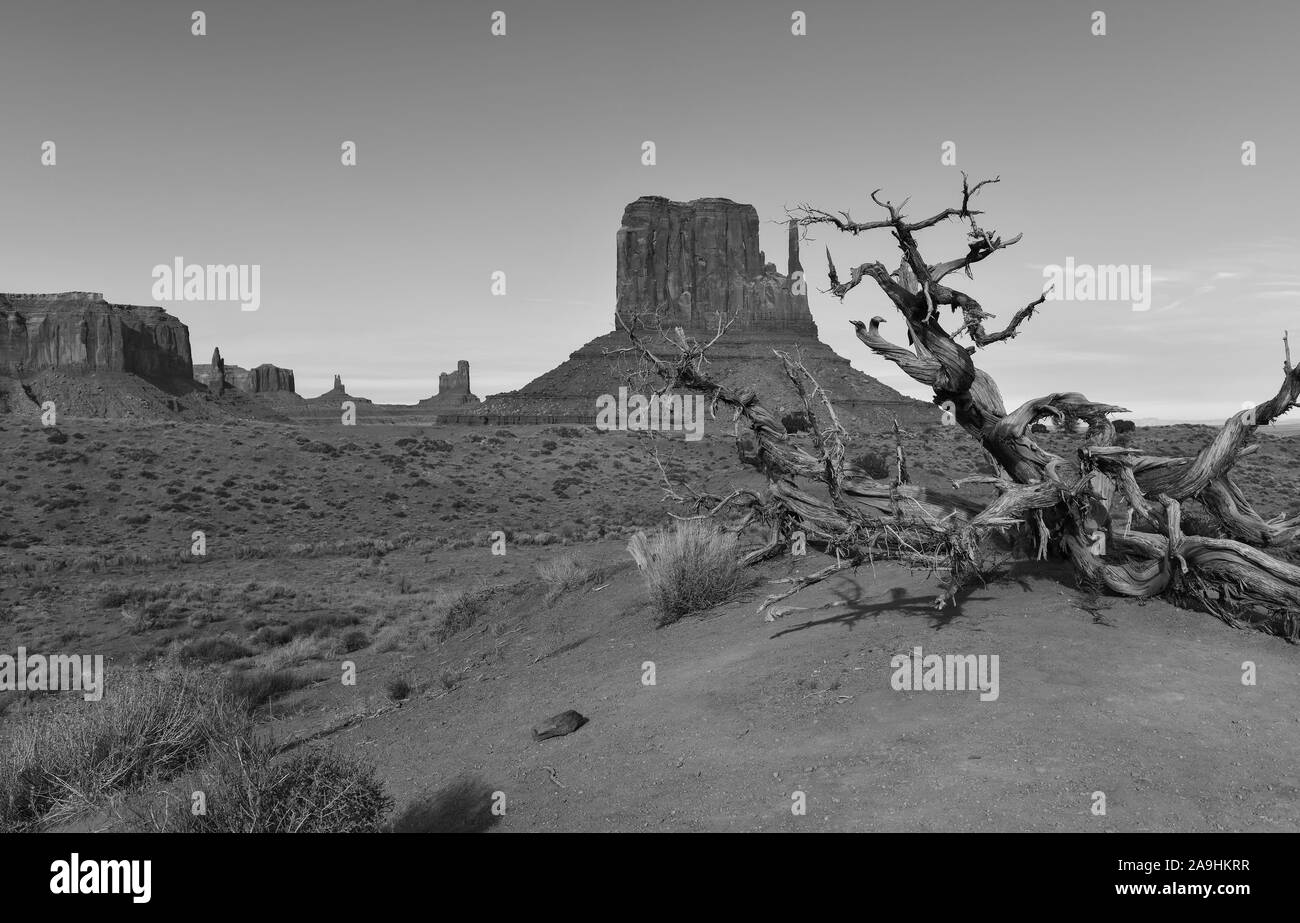 Il paesaggio del deserto della Monument Valley Navajo Tribal Park nel sud-ovest USA in Arizona e Utah, America Foto Stock