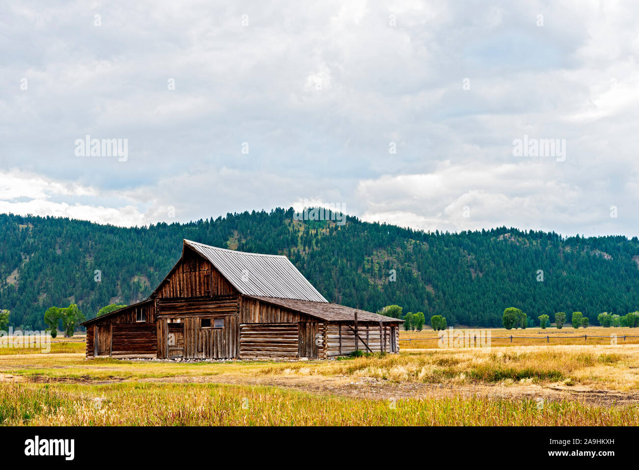Vecchio fienile pioniere in campi d'erba dorata con montagna verde oltre sotto cielo nuvoloso. Foto Stock