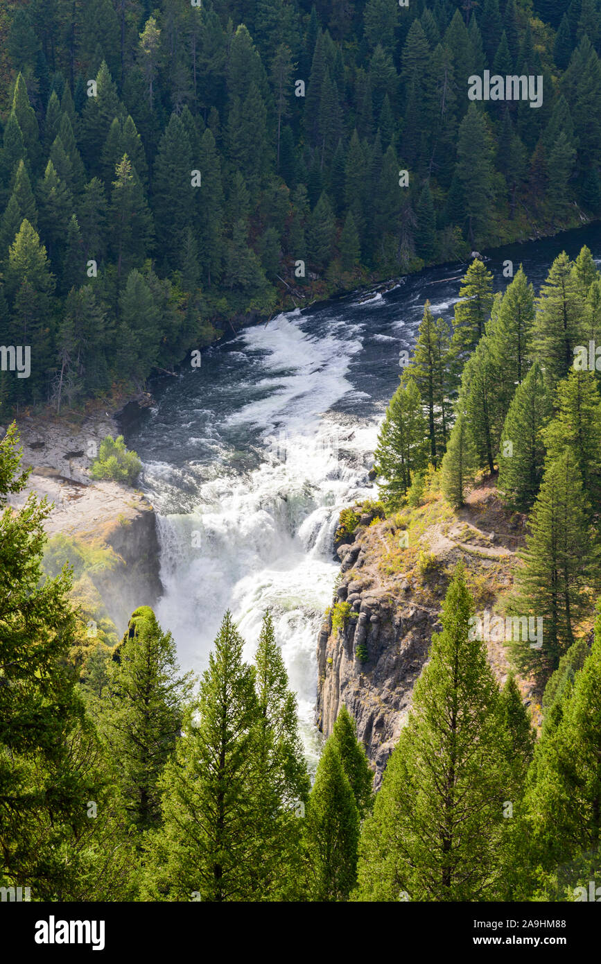 Si affaccia sulla cascata e sul fiume che scorre attraverso la foresta verde. Foto Stock