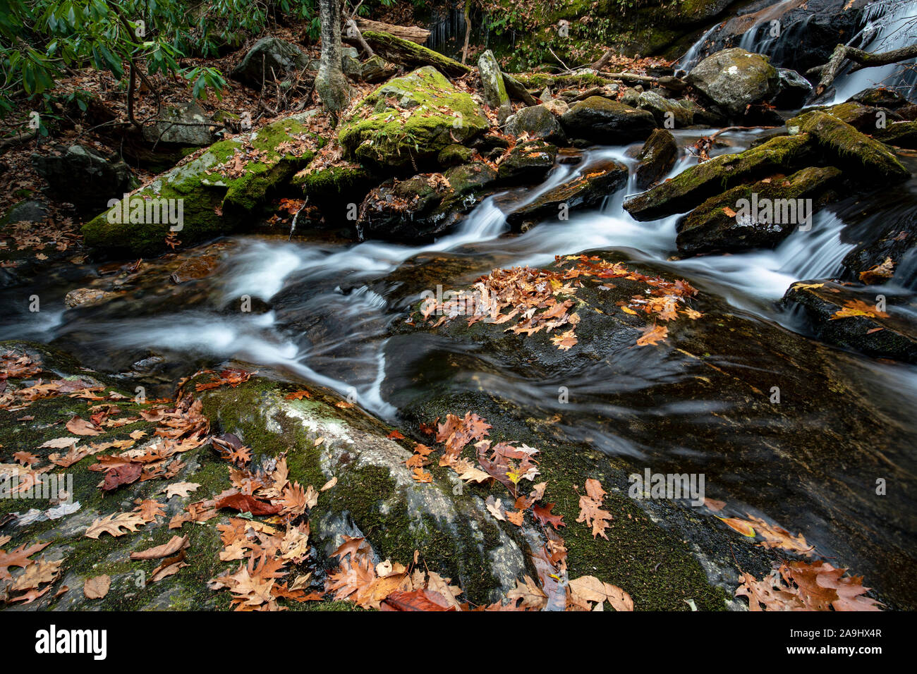 Aneto superiore cade su Tanasee Creek - Nantahala National Forest, Canada, North Carolina, STATI UNITI D'AMERICA Foto Stock