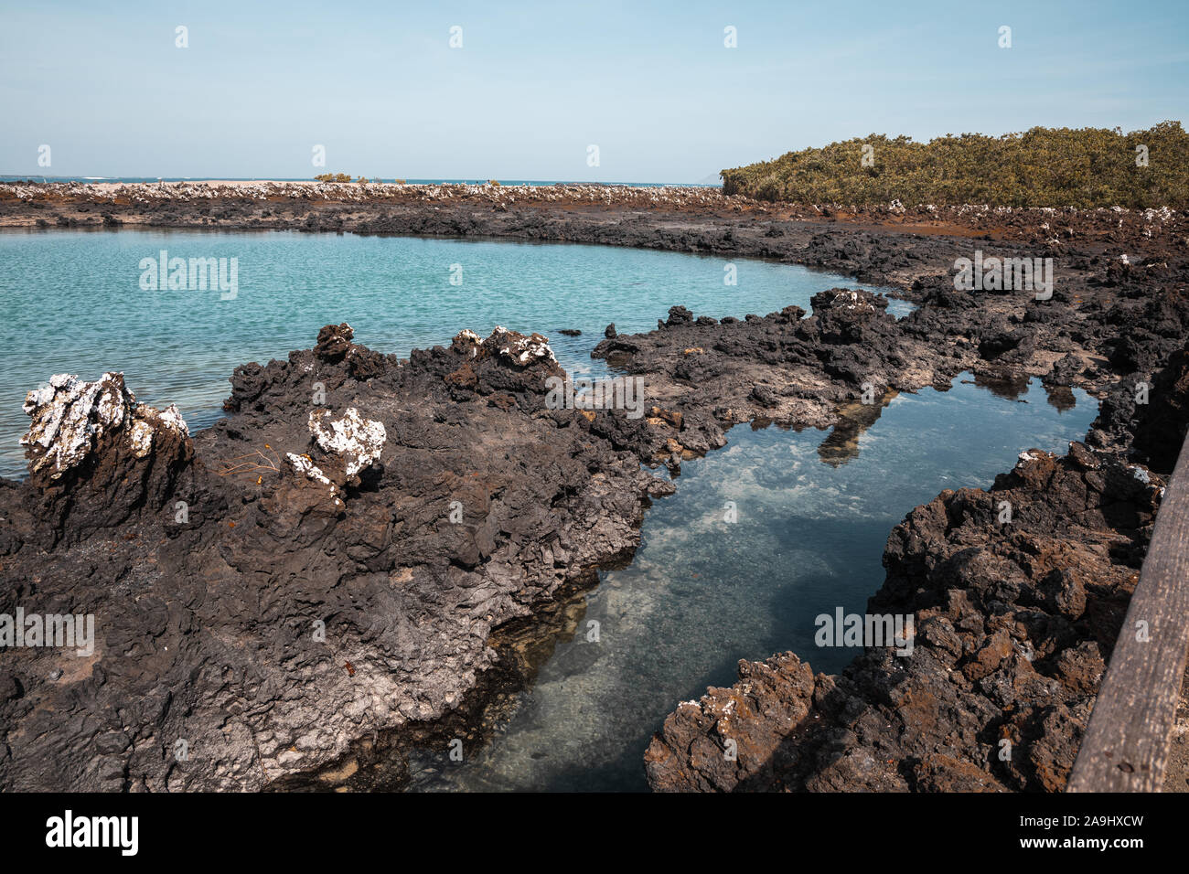 La roccia vulcanica, che rende molto delle Isole Galapagos, creando splendide formazioni lungo la costa di Isabela Island. Foto Stock