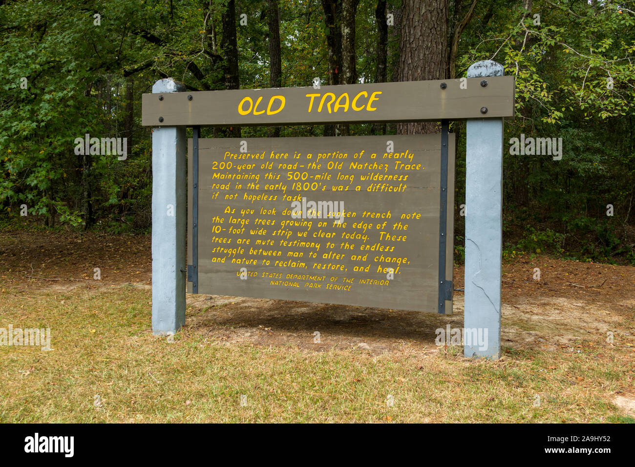 Originale vecchie tracce di sentiero sulla Natchez Trace Parkway MS Mississippi noto anche come "Vecchio Natchez Trace', è uno storico sentiero forestale entro la norma UNI Foto Stock