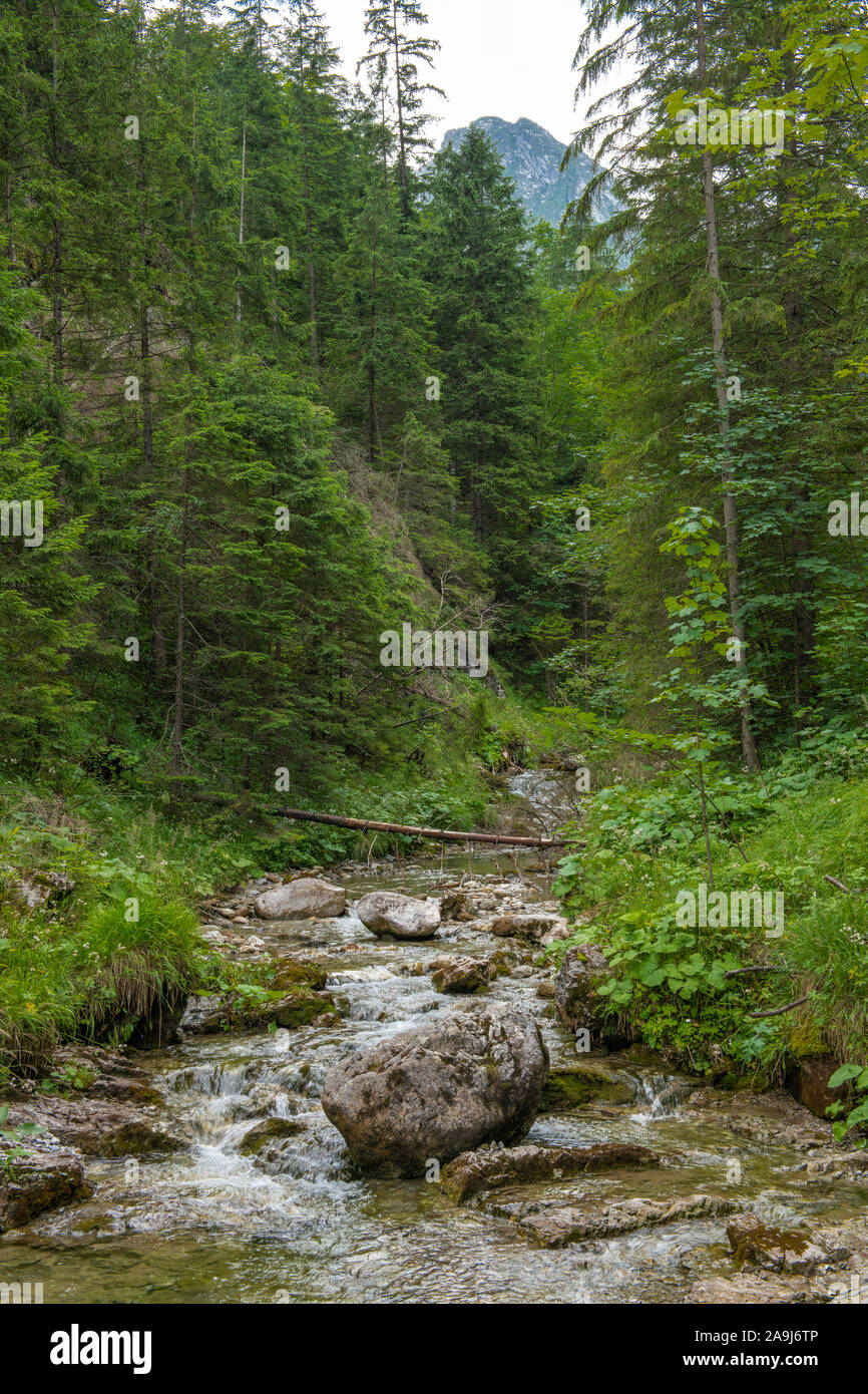 Parco nazionale dei Alti Tatra. Polonia Foto Stock
