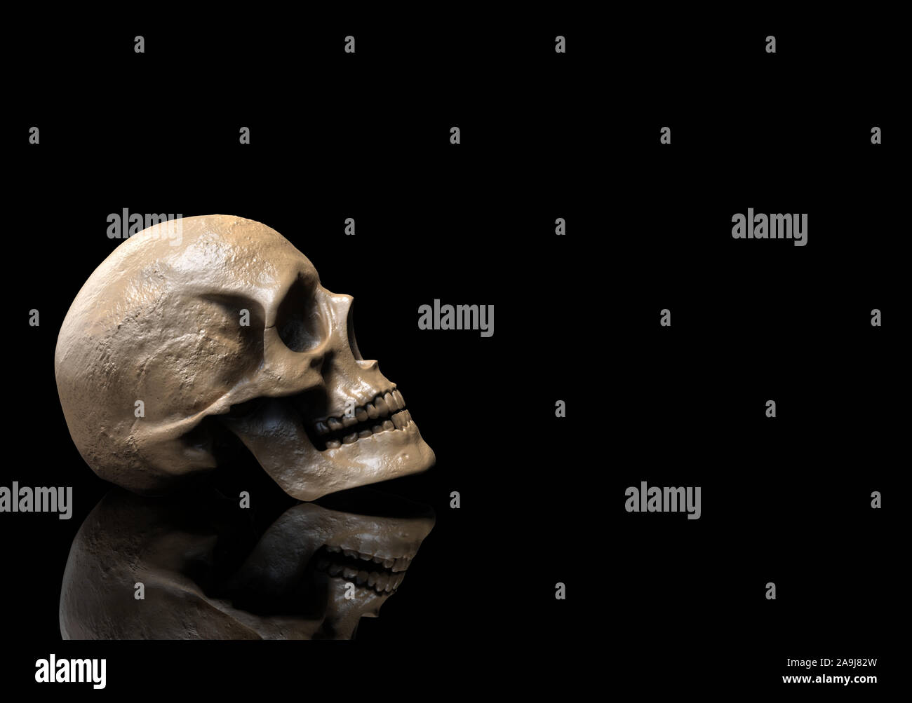 Cranio illustrazione sfondo isolato-3d render Foto Stock