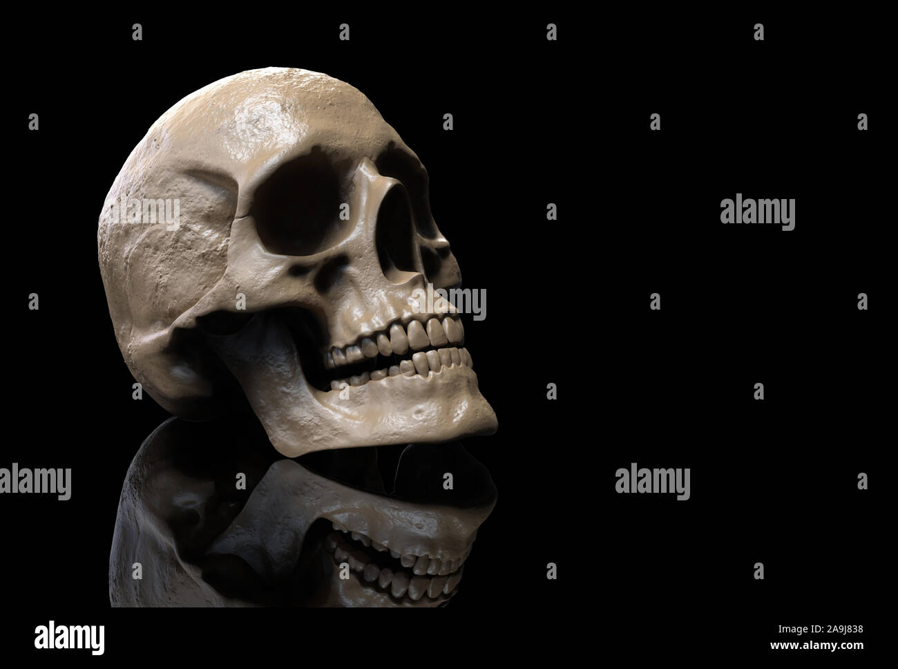 Cranio isolato in background 3D render Foto Stock