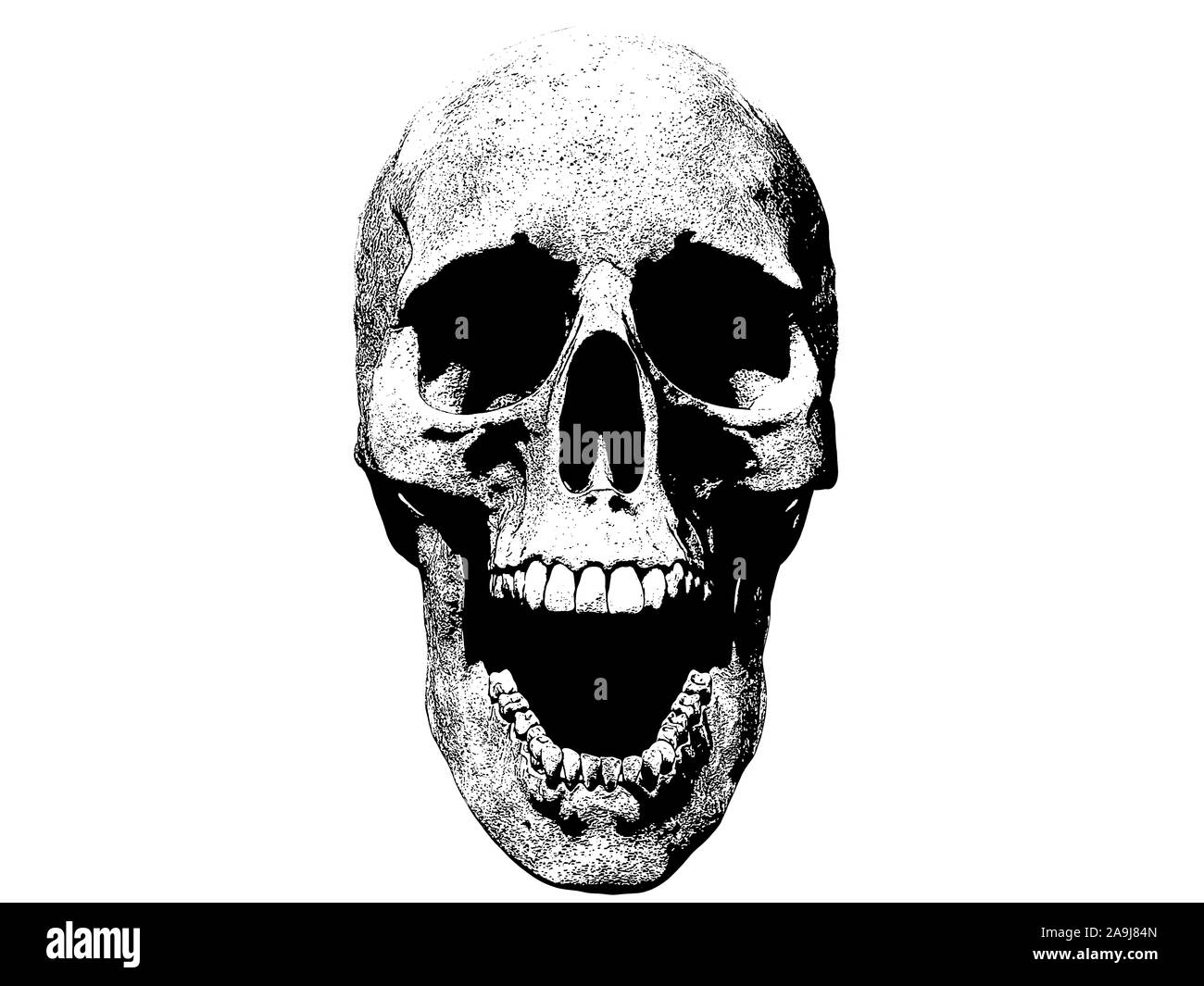 Cranio urlando illustrazione isolato in background 3D render Foto Stock
