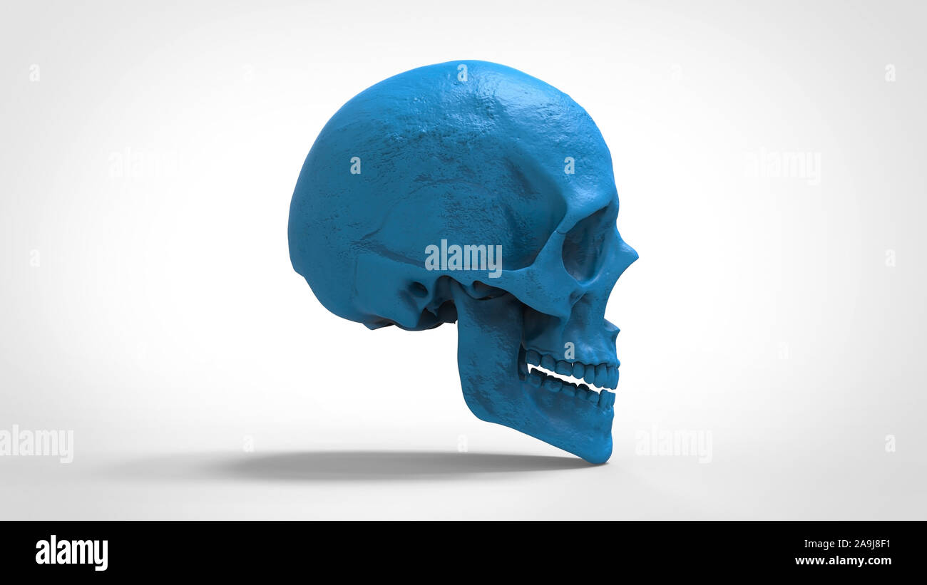 Cranio ABS 3d modello stampato sullo sfondo isolato 3D render Foto Stock