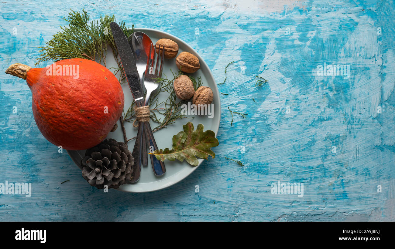 Frontiera, castagne, coni, zucca, pigne, felice giorno del ringraziamento, cena di ringraziamento Foto Stock