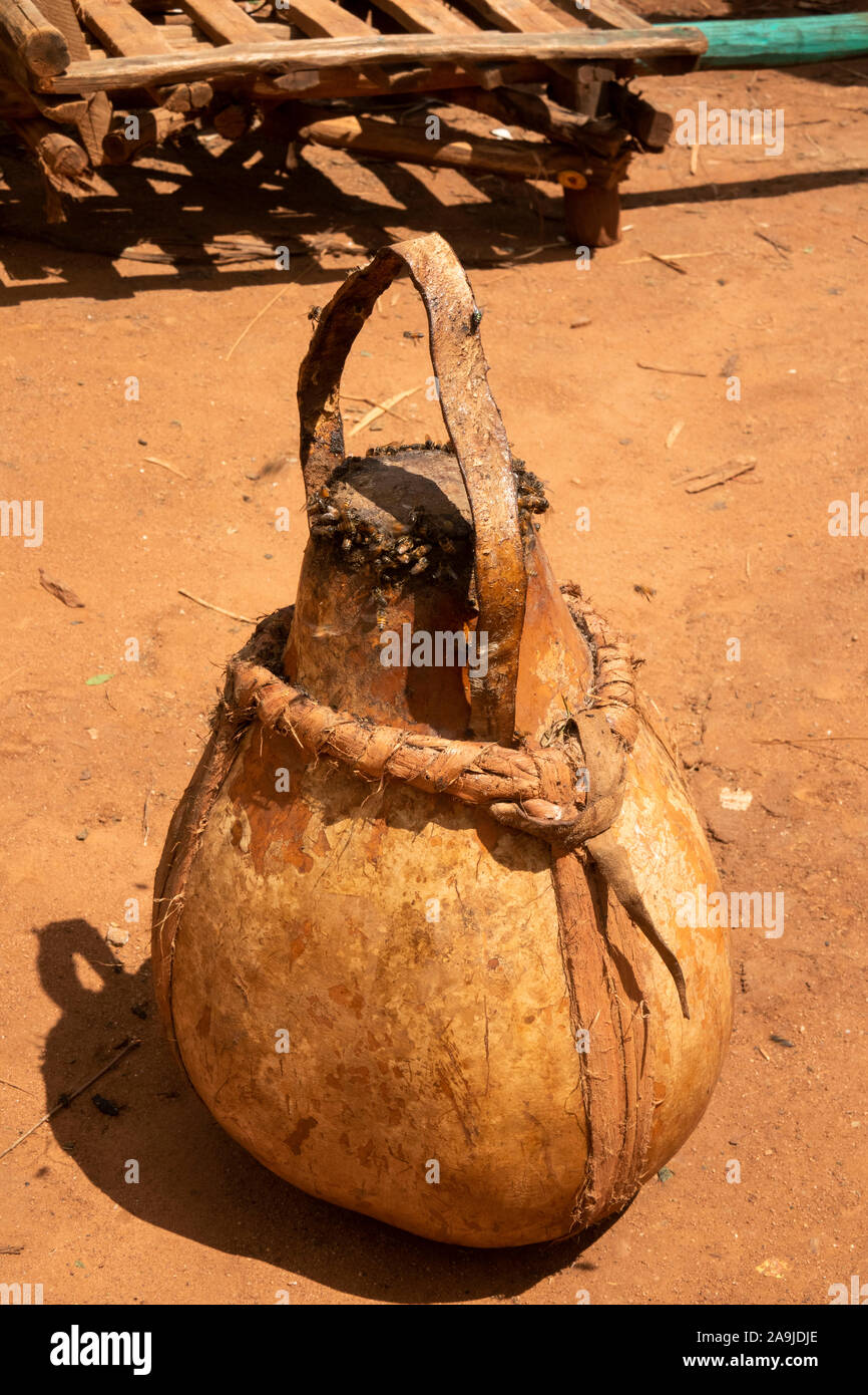 Etiopia, Sud Omo, Key Afer, mercato del giovedì, di api attorno al collo del miele calabash pot Foto Stock