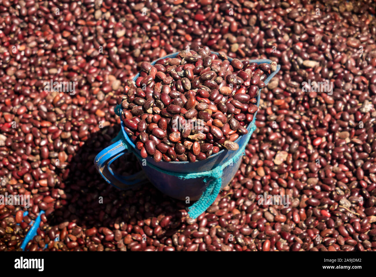 Etiopia, Sud Omo, Key Afer, mercato del giovedì, i fagioli bianchi in vendita Foto Stock