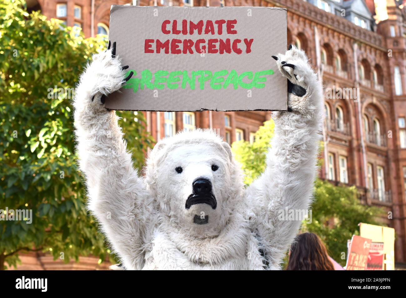 Sciopero della gioventù per il clima di protesta, Piazza San Pietro Manchester. Uomo in un orso polare costume detiene una targhetta di Greenpeace sopra la sua testa Foto Stock